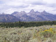 Grand Teton National Park Thumbnail Photograph