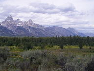 Grand Teton National Park Thumbnail Photograph
