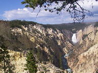 Yellowstone National Park Thumbnail Photograph